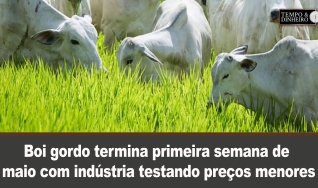 Tempo & Dinheiro