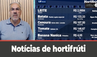 Tempo e Dinheiro