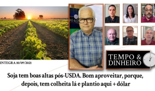 Tempo & Dinheiro