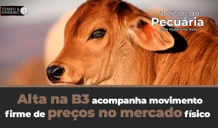 Tempo e dinheiro