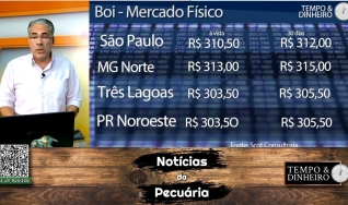 Boi gordo no balcão R$320, China acima de R$330@. Varejo tem reação