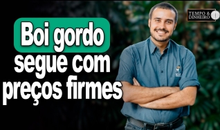 Tempo & Dinheiro