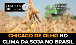 Tempo e dinheiro