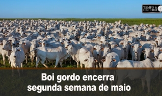 Tempo & Dinheiro