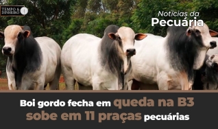 Tempo e Dinheiro