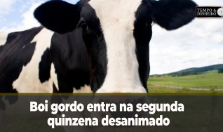 Tempo & Dinheiro