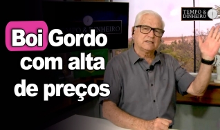 Tempo & Dinheiro
