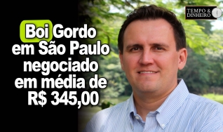 Thiago Bernardino
