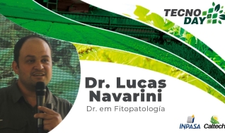 Prof. Dr. Lucas Navarini
