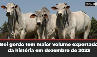 Tempo e Dinheiro
