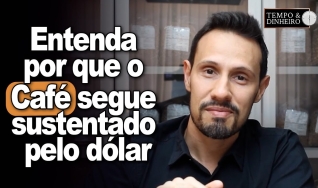 Bruno Labs