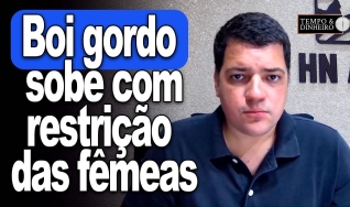 Tempo e dinheiro