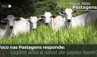 Tempo & Dinheiro