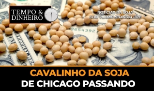 Tempo e dinheiro