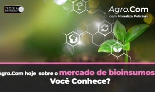 Tempo e dinheiro
