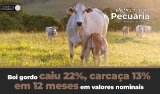 Tempo e Dinheiro