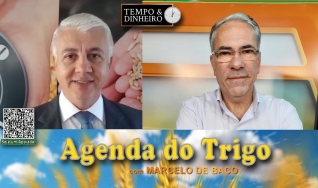 Pesos do mercado equilibram as forças...