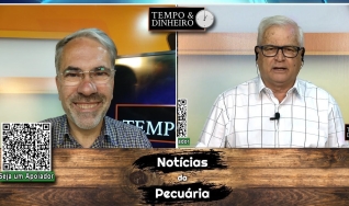 Tempo & Dinheiro