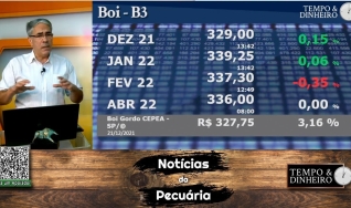 Boi gordo vai entrar em 2022 com preços firmes e custos acomodados