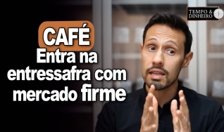 Bruno Labs