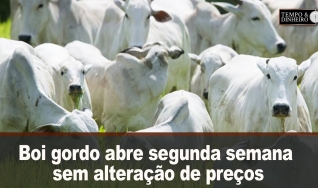 Tempo & Dinheiro