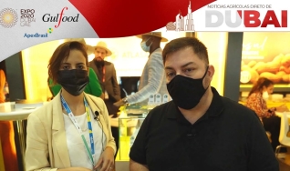 Feijões brasileiros se preparam para ganhar o mundo, vem aí o programa Brazilian Beans