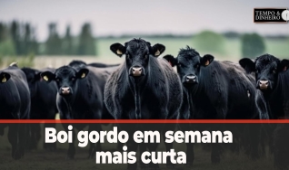 Tempo e Dinheiro