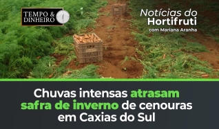 Tempo e Dinheiro