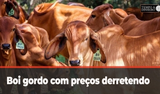 Tempo e Dinheiro