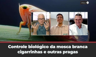 Tempo & Dinheiro