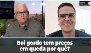 Tempo & DInheiro