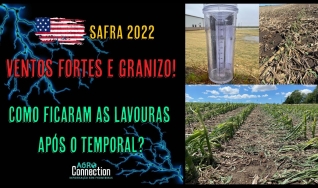 Agro Connection