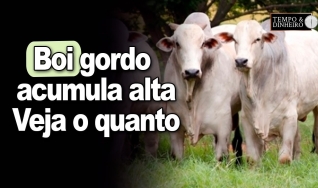 Tempo & Dinheiro