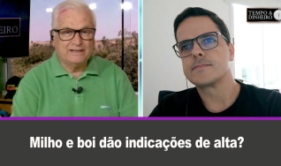 Tempo & Dinheiro