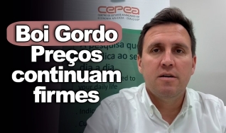 Tempo & Dinheiro