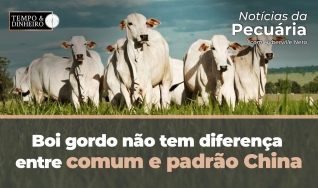 Tempo e Dinheiro