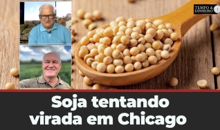 Tempo e Dinheiro