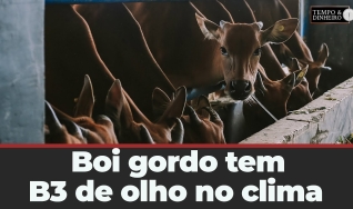 Tempo e Dinheiro