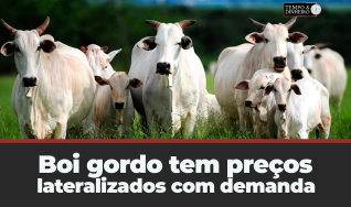 Tempo e Dinheiro