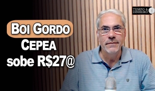 Tempo e dinheiro