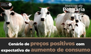 Tempo e Dinheiro