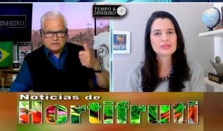 Tempo e Dinheiro