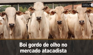 Tempo & Dinheiro