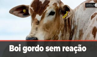 Tempo e Dinheiro