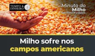 Tempo e Dinheiro