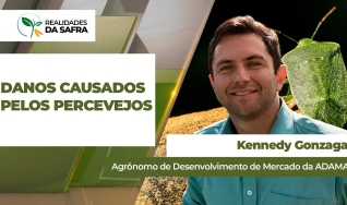 Kennedy Gonzaga - Agrônomo de Desenvolvimento de Mercado da ADAMA