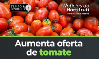 Tempo e dinheiro