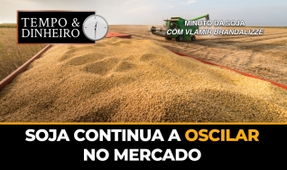 Tempo e dinheiro