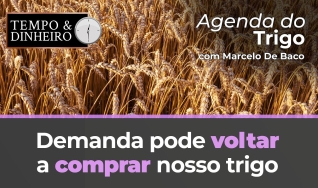 Tempo & Dinheiro