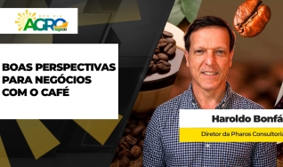 Haroldo Bonfá - Analista de Mercado e Diretor da Pharos Consultoria